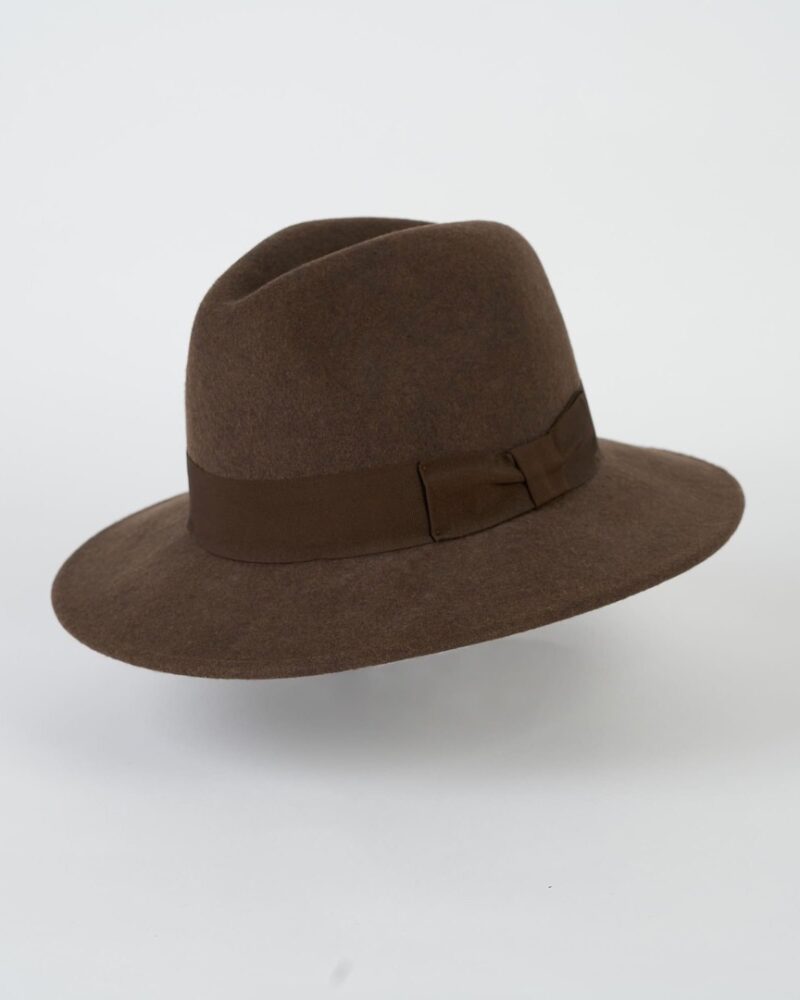 Brown fedora